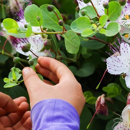 Apartmán Zagare E Limoni Ostuni Exteriér fotografie