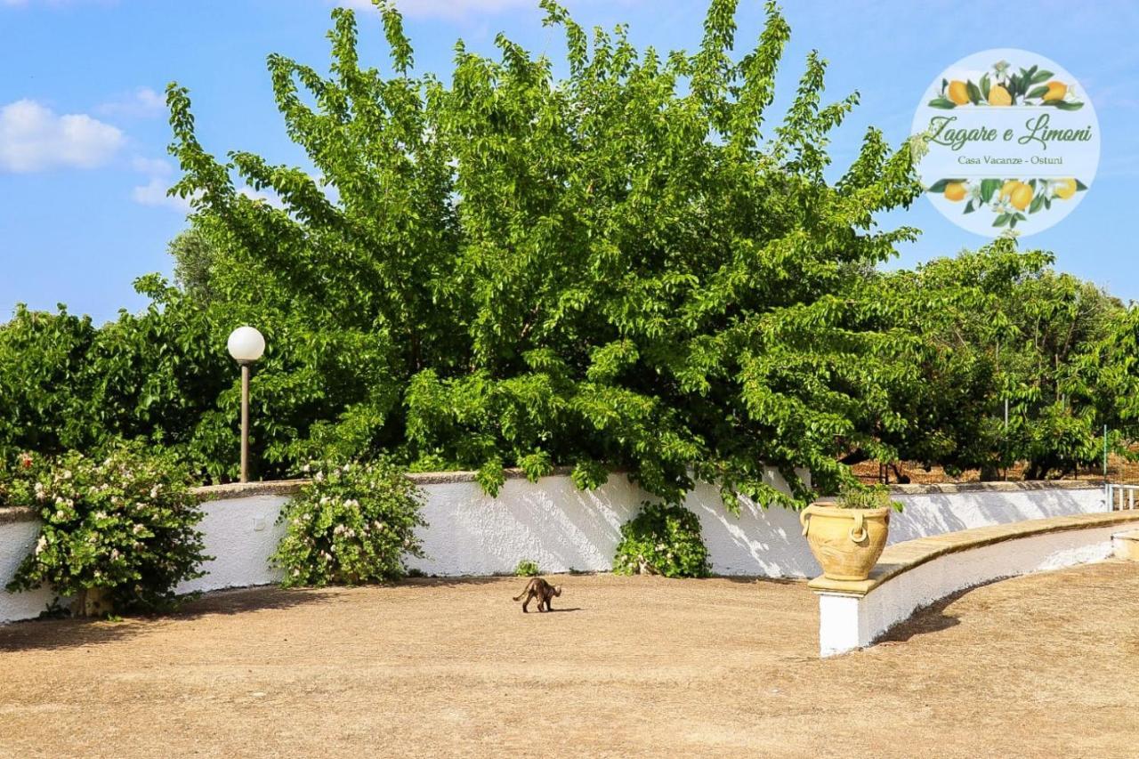 Apartmán Zagare E Limoni Ostuni Exteriér fotografie